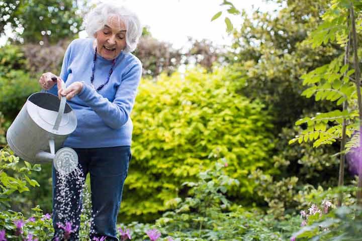 باغبانی کردن بهترین سرگرمی برای سالمندان